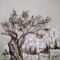 drawing for sea shell cameo,,jerusalem,,
ink,paper toned,whitewash
44,5 * 31cm