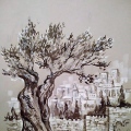 drawing for sea shell cameo,,jerusalem,,
ink,paper toned,whitewash
44,5 * 31cm